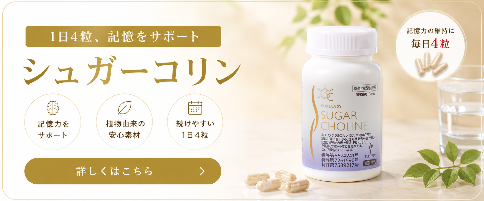 バナー:シュガーコリン