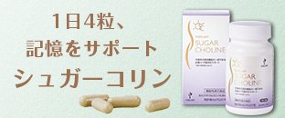 バナー：シュガーコリン